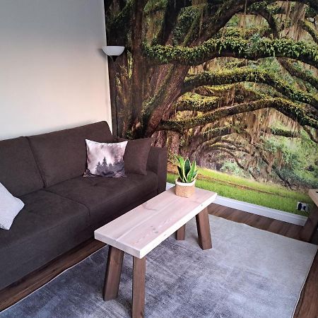 Apartament Natura Lidzbark Warmiński Exterior foto
